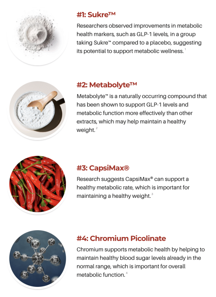 ElectroSlim ingredients supporting metabolism fat burning and weight loss formula